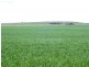 * 299.3ha Brooks 740acs, Jamestown SA 5491