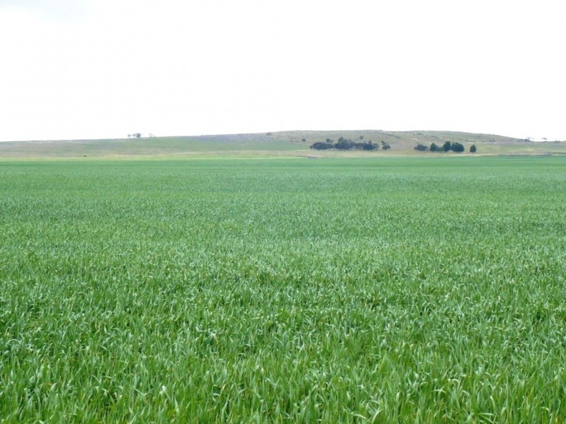 * 299.3ha Brooks 740acs, Jamestown SA 5491