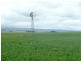 * 299.3ha Brooks 740acs, Jamestown SA 5491