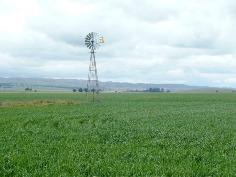 * 299.3ha Brooks 740acs, Jamestown SA 5491