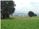 * 299.3ha Brooks 740acs, Jamestown SA 5491