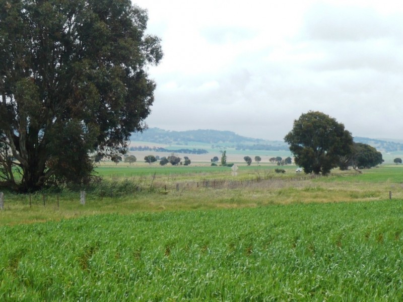 * 299.3ha Brooks 740acs, Jamestown SA 5491
