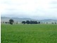 * 299.3ha Brooks 740acs, Jamestown SA 5491