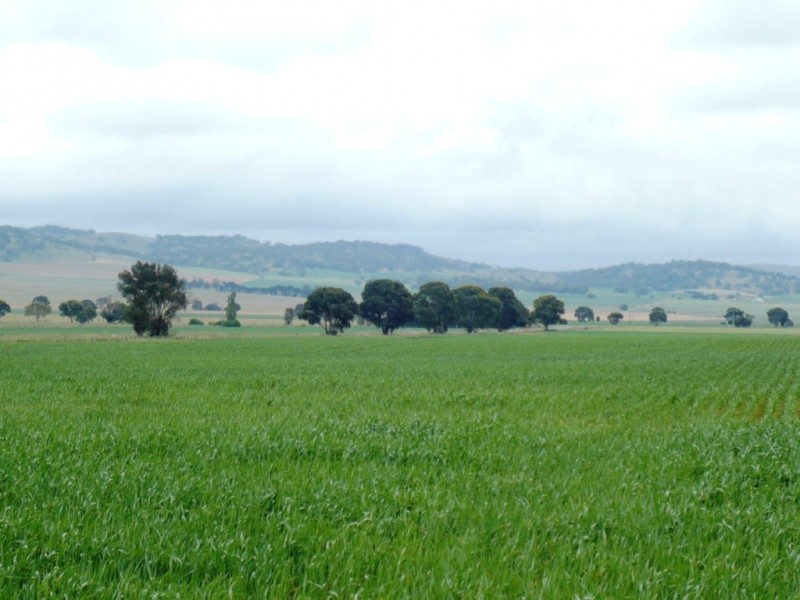 * 299.3ha Brooks 740acs, Jamestown SA 5491