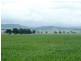 * 299.3ha Brooks 740acs, Jamestown SA 5491