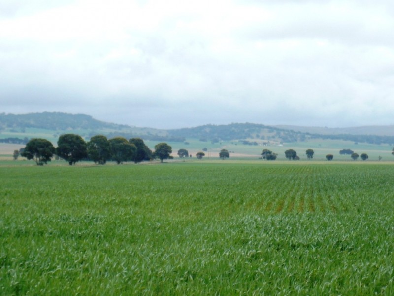 * 299.3ha Brooks 740acs, Jamestown SA 5491