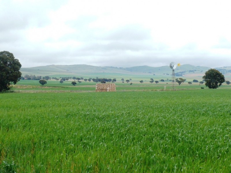 * 299.3ha Brooks 740acs, Jamestown SA 5491
