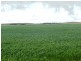 * 299.3ha Brooks 740acs, Jamestown SA 5491