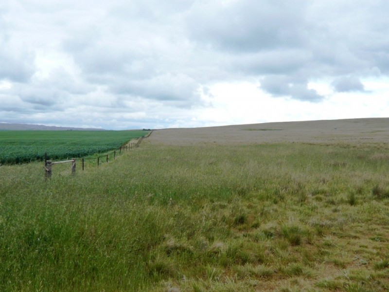 * 299.3ha Brooks 740acs, Jamestown SA 5491