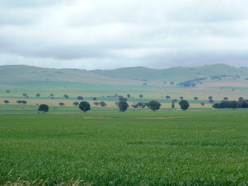 * 299.3ha Brooks 740acs, Jamestown SA 5491