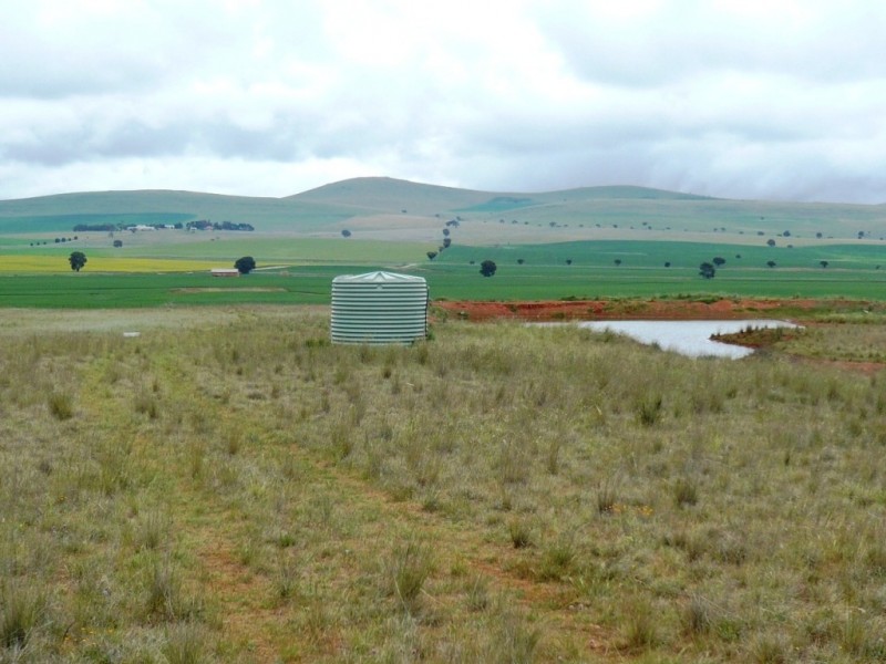 * 299.3ha Brooks 740acs, Jamestown SA 5491