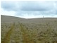 * 299.3ha Brooks 740acs, Jamestown SA 5491