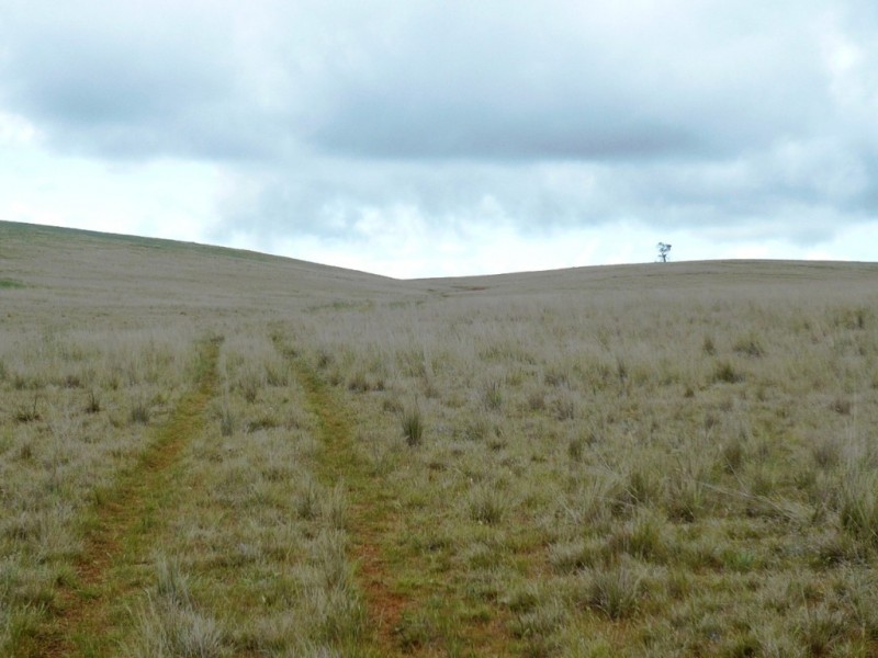 * 299.3ha Brooks 740acs, Jamestown SA 5491