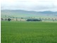 * 299.3ha Brooks 740acs, Jamestown SA 5491