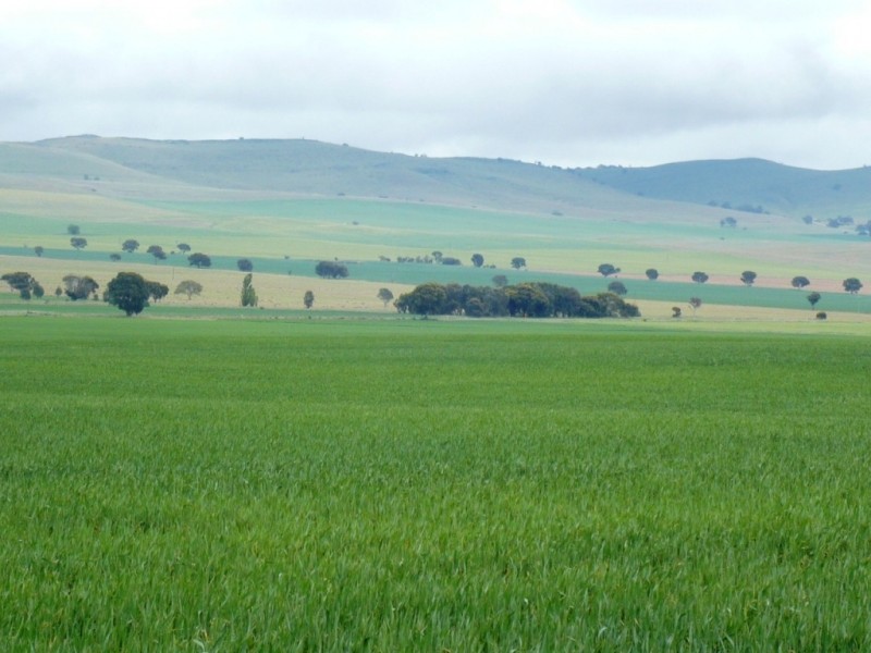* 299.3ha Brooks 740acs, Jamestown SA 5491