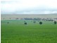 * 299.3ha Brooks 740acs, Jamestown SA 5491