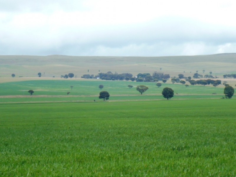 * 299.3ha Brooks 740acs, Jamestown SA 5491
