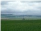 * 299.3ha Brooks 740acs, Jamestown SA 5491