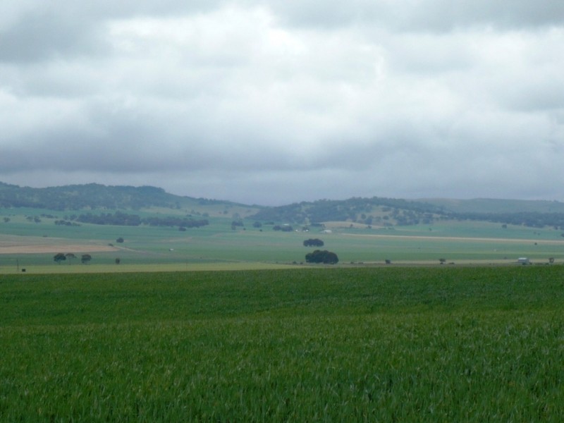 * 299.3ha Brooks 740acs, Jamestown SA 5491
