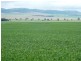 * 299.3ha Brooks 740acs, Jamestown SA 5491