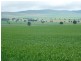 * 299.3ha Brooks 740acs, Jamestown SA 5491