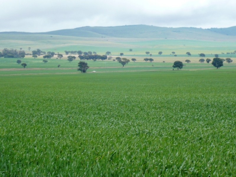 * 299.3ha Brooks 740acs, Jamestown SA 5491