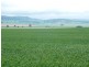* 299.3ha Brooks 740acs, Jamestown SA 5491