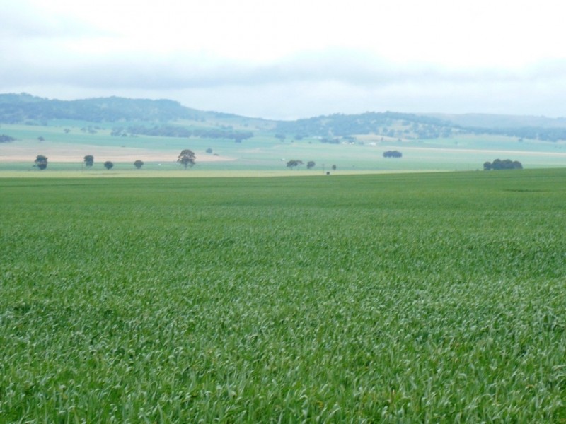 * 299.3ha Brooks 740acs, Jamestown SA 5491