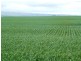 * 299.3ha Brooks 740acs, Jamestown SA 5491