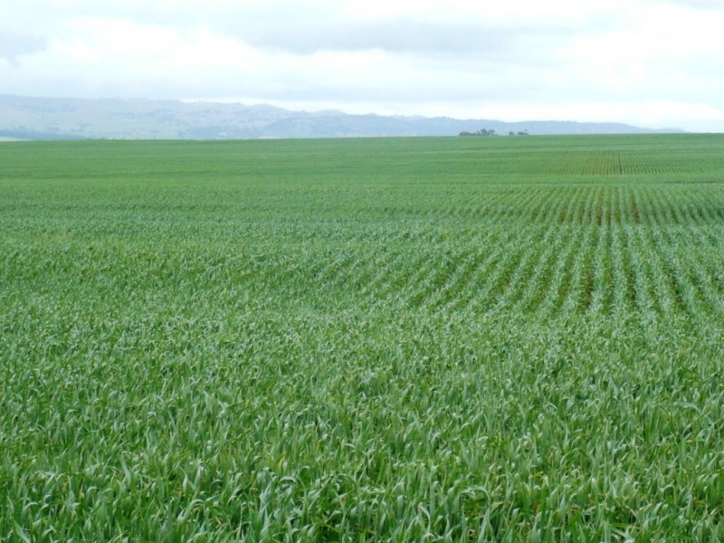 * 299.3ha Brooks 740acs, Jamestown SA 5491