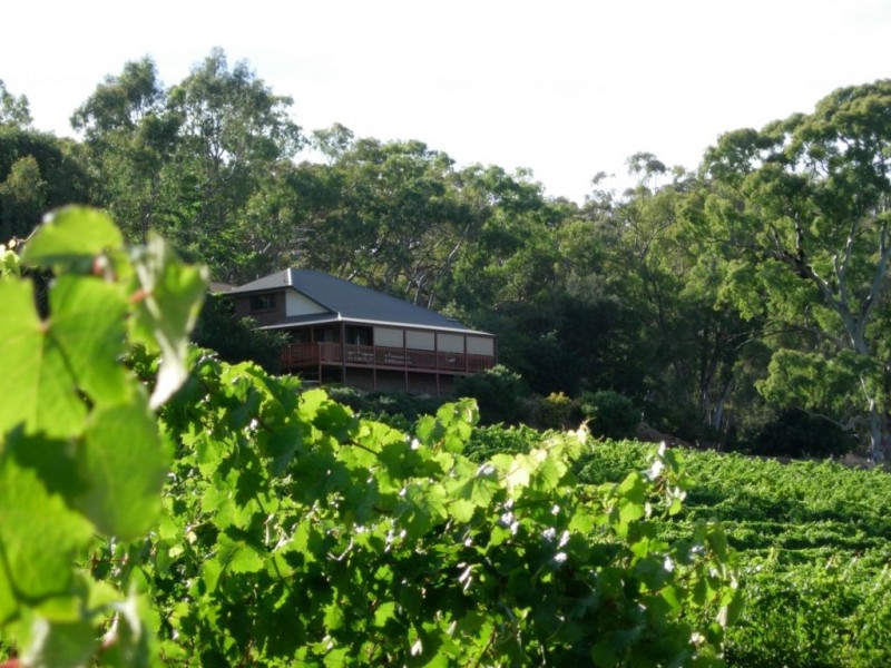 * Olssens of Watervale, Watervale SA 5452