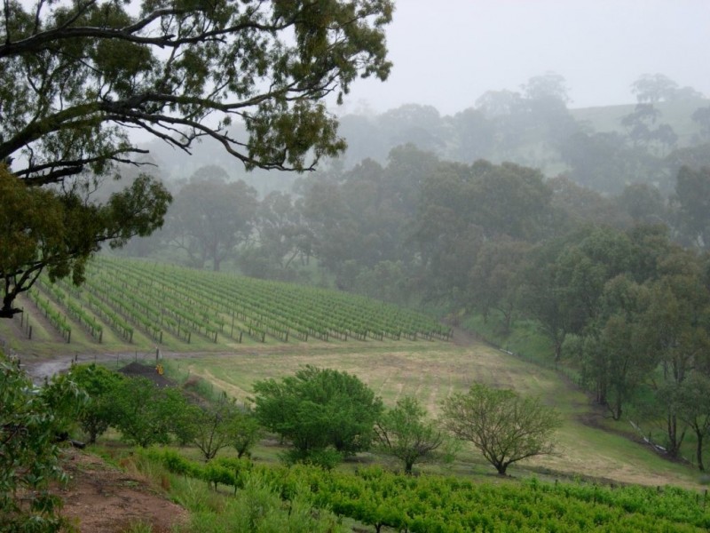 * Olssens of Watervale, Watervale SA 5452