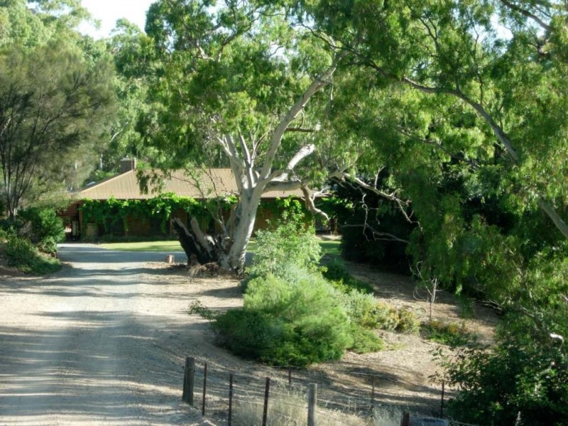 * Olssens of Watervale, Watervale SA 5452