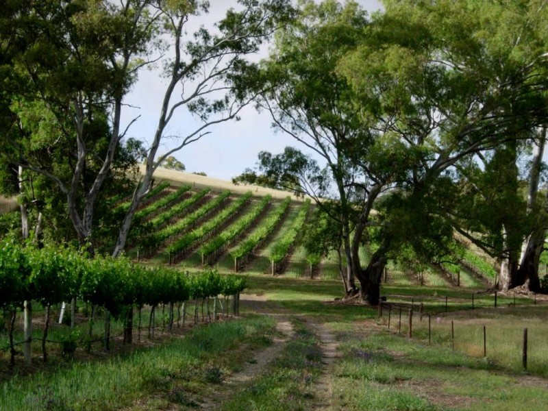 * Olssens of Watervale, Watervale SA 5452