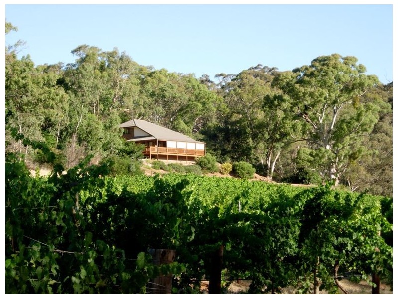 * Olssens of Watervale, Watervale SA 5452