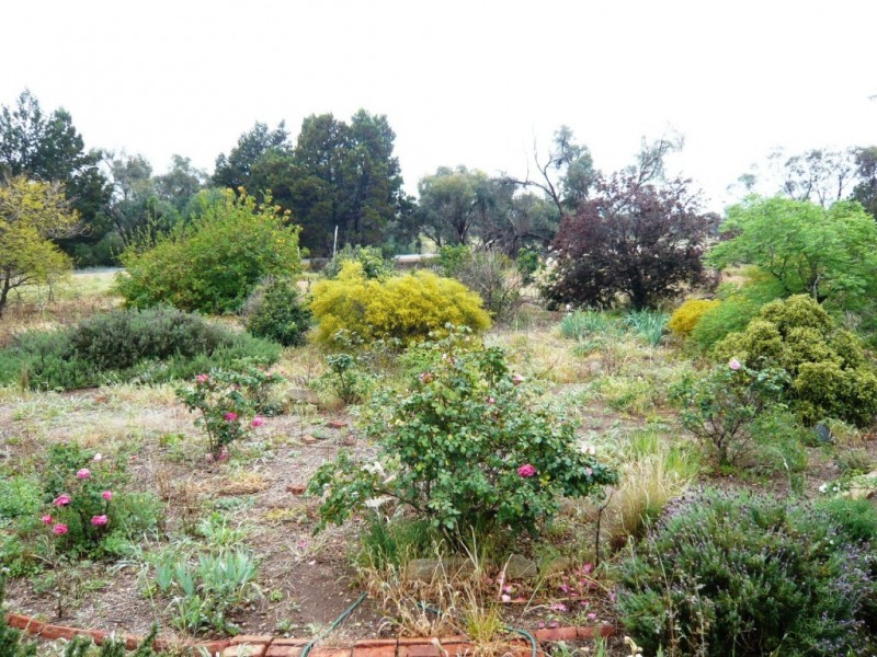 Lot 1 Chandler Street, Halbury SA 5461