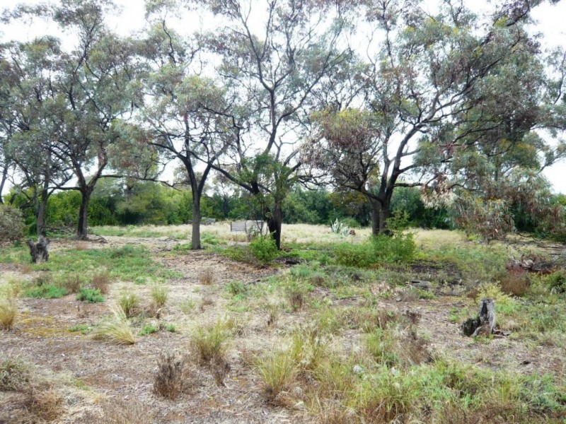 Lot 1 Chandler Street, Halbury SA 5461