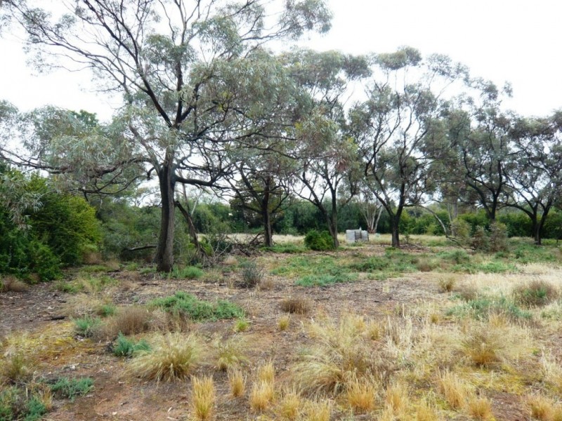 Lot 1 Chandler Street, Halbury SA 5461