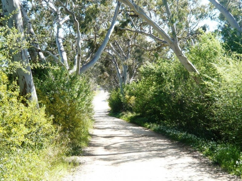 Lot 2 Surrey Lane, Penwortham SA 5453