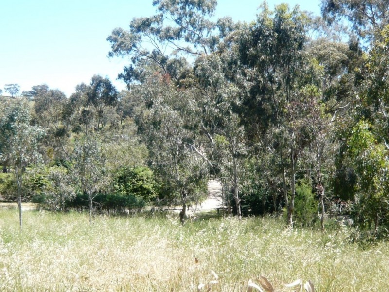 Lot 2 Surrey Lane, Penwortham SA 5453