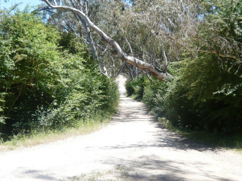 Lot 2 Surrey Lane, Penwortham SA 5453