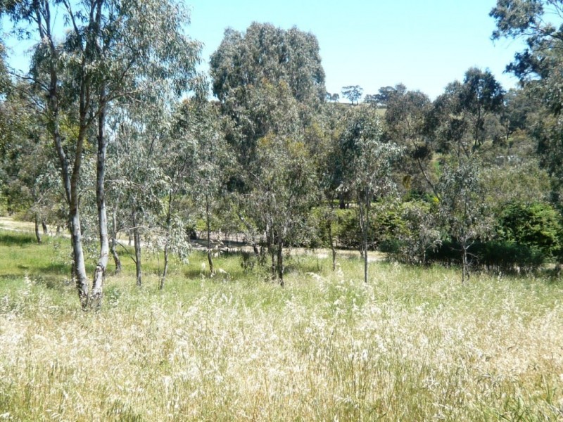 Lot 2 Surrey Lane, Penwortham SA 5453