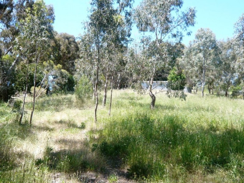 Lot 2 Surrey Lane, Penwortham SA 5453