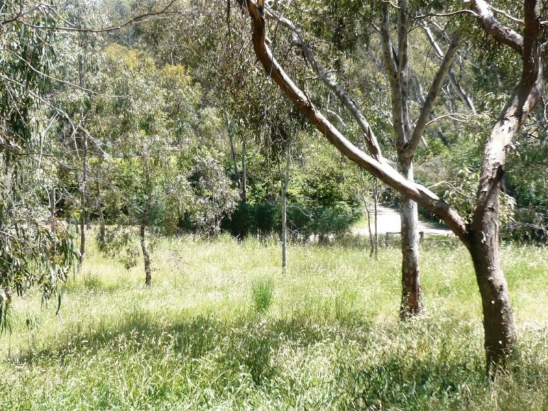 Lot 2 Surrey Lane, Penwortham SA 5453