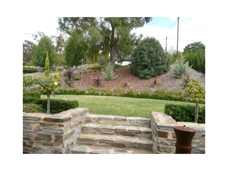 3 Beare Street, Clare SA 5453