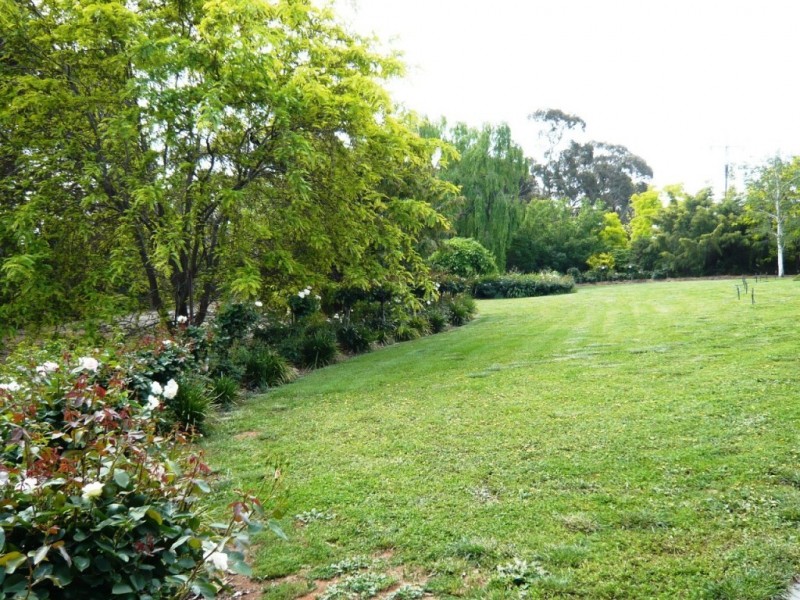 22 White Hut Road, Clare SA 5453