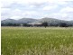 * Lot 1, Hallett SA 5419