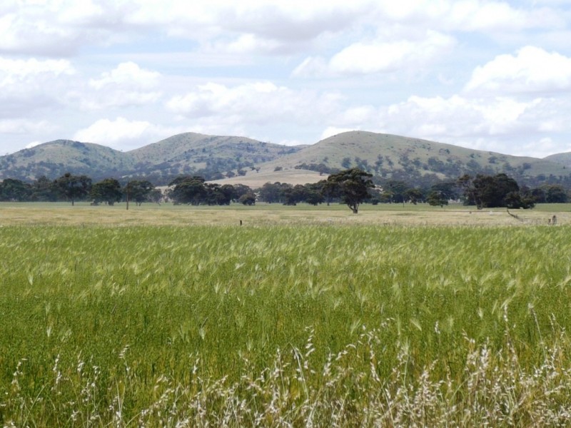 * Lot 1, Hallett SA 5419