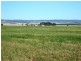 * 253.14ha Mordinyabe 626acs, Blyth SA 5462