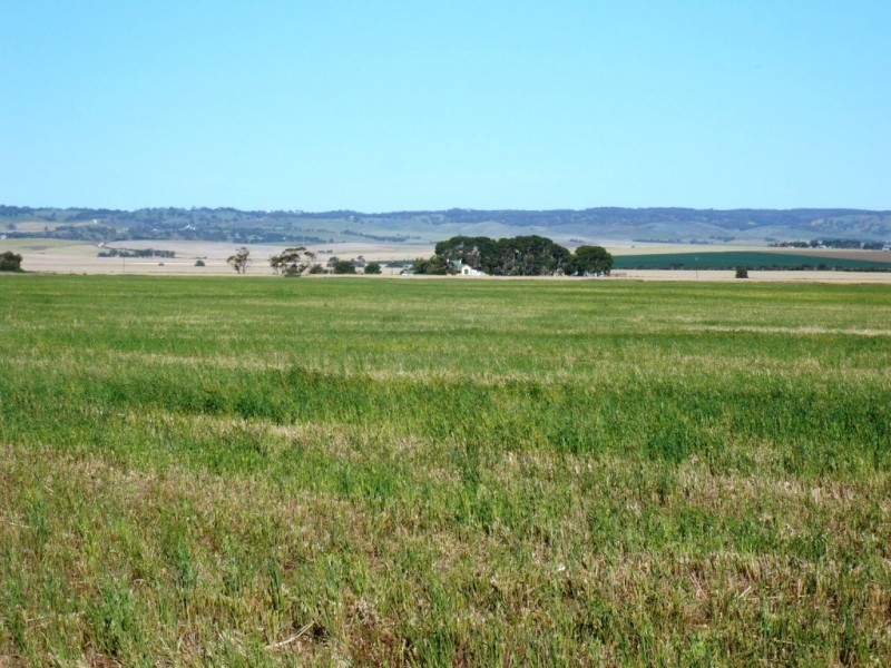 * 253.14ha Mordinyabe 626acs, Blyth SA 5462